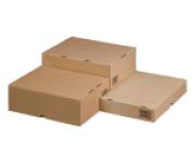 Stülpdeckelkarton A4, 305x215x50mm