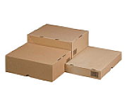 Stülpdeckelkarton A4, 305x215x50mm