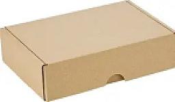Maxibriefkarton (160x113x42 mm)