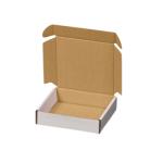 Maxibriefkarton (160x113x42 mm)