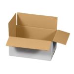 Versandkarton 1-wellig (295x195x140 mm)