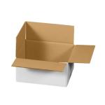 Versandkarton 1-wellig (217x172x110 mm)