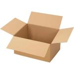 Versandkarton 1-wellig (300x200x170 mm)