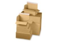 Automatikbodenkarton (350x256x135 mm)