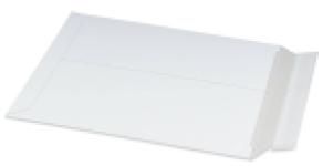 Versandtasche aus Vollpappe (309x447x30 mm)