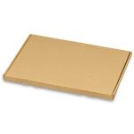 Maxibriefkarton (215x155x15 mm)