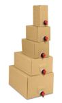 Karton für Bag-in-Box, Retail-Sets inkl. Beutel (163x150x243 mm)