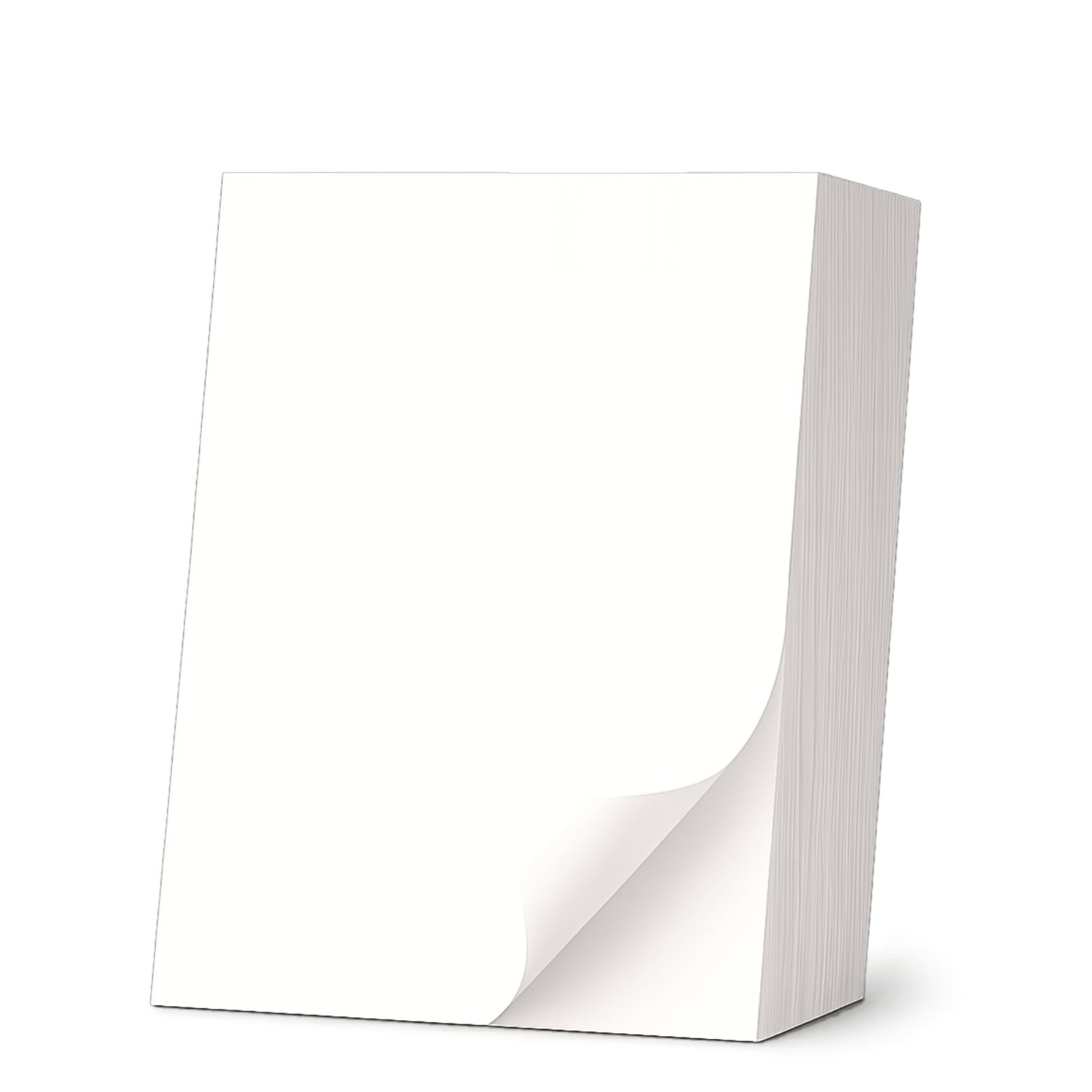 Einzeletikett DIN A4 - 500 Etiketten