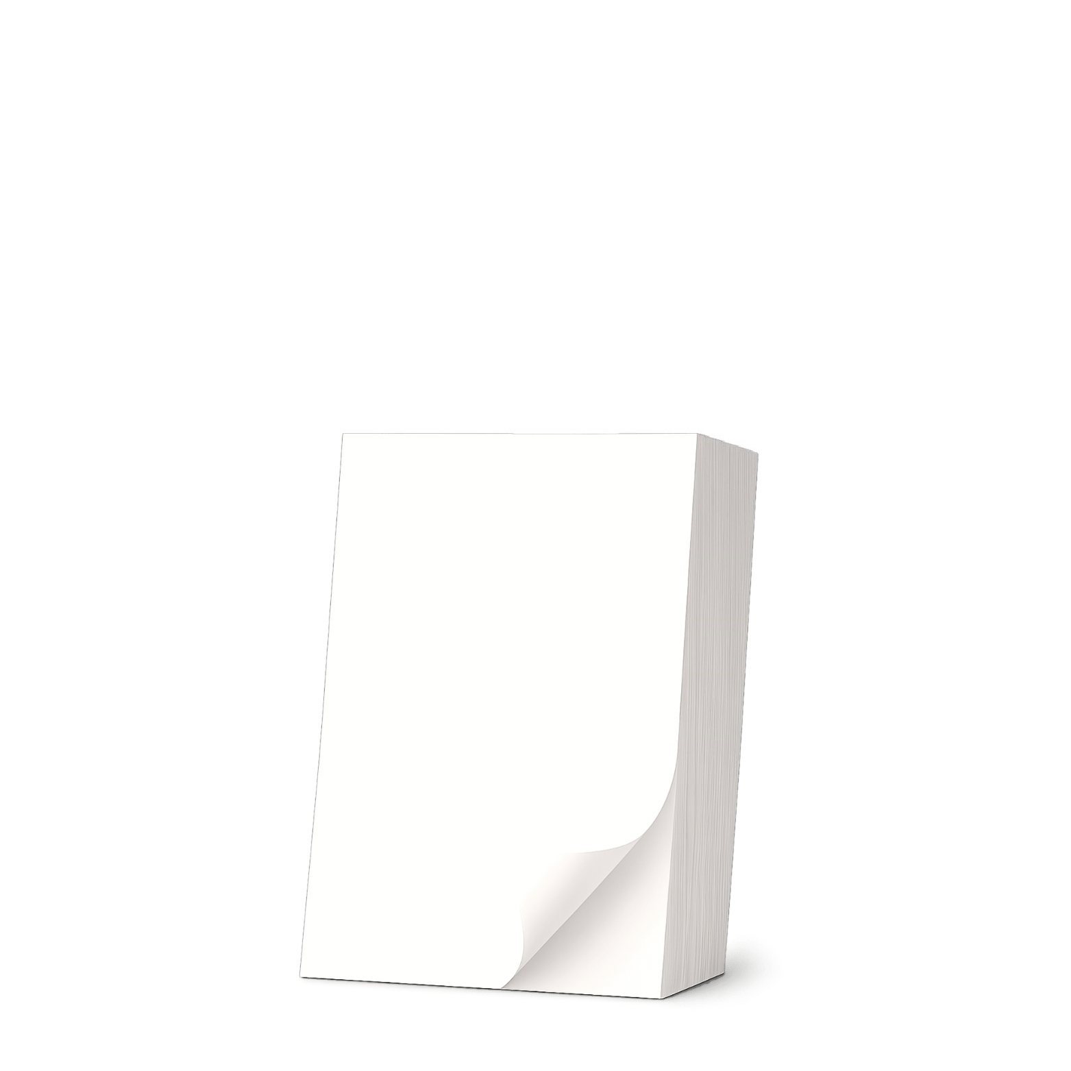 Étiquette Individuelle 100 x 170 mm - 1000 Étiquettes