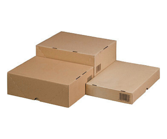 Stülpdeckelkarton A4, 305x215x50mm