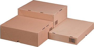 Stülpdeckelkarton A4, 305x215x150mm