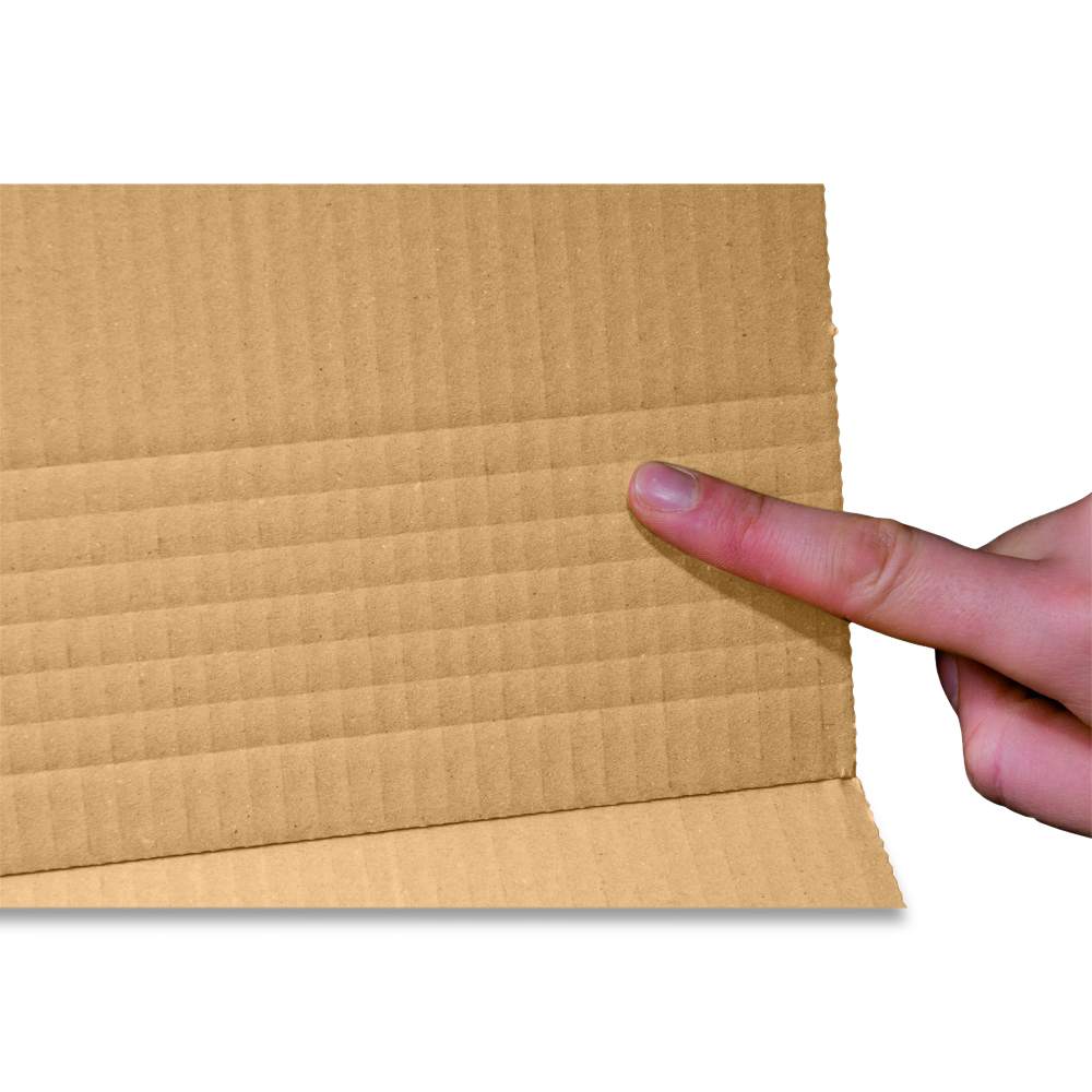 Universalverpackung, mittige Aufnahme (305x230x100 mm)