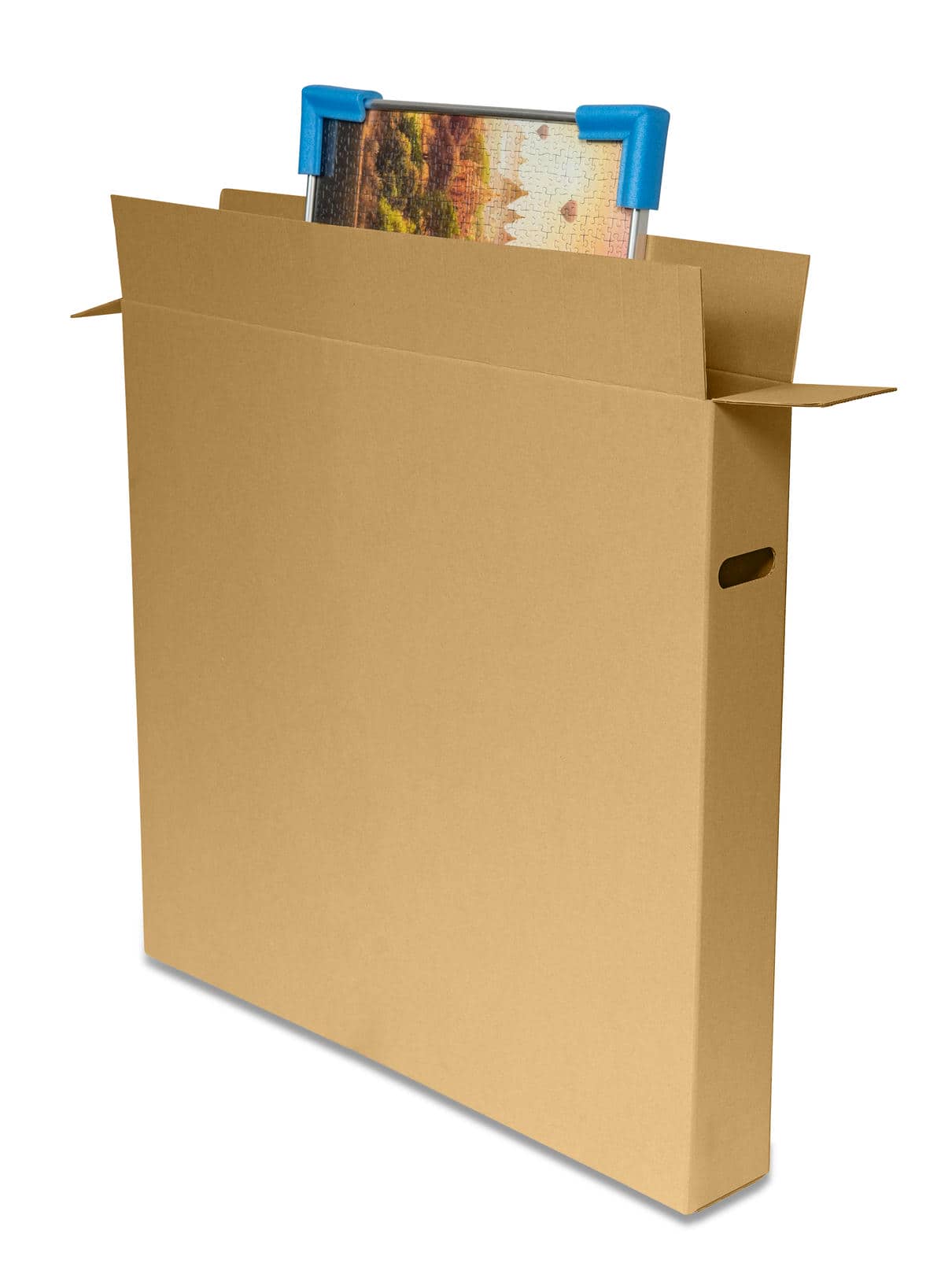 Bilderkarton (900x120x800 mm)