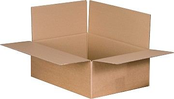 Versandkarton 1-wellig (295x195x90 mm)